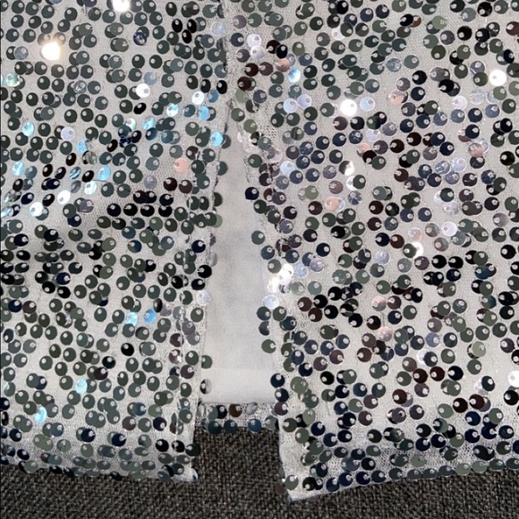 Sequin Skirt - Picture 3 of 4